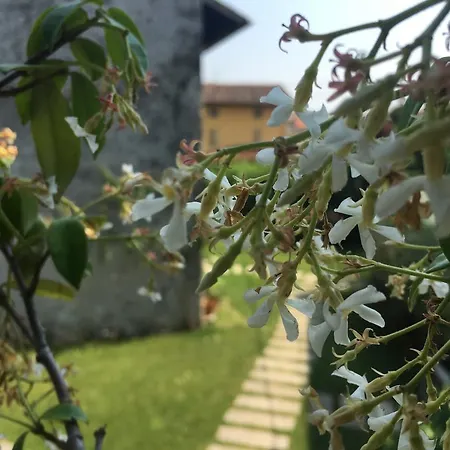Grions Exclusive Countryside * Sedegliano
